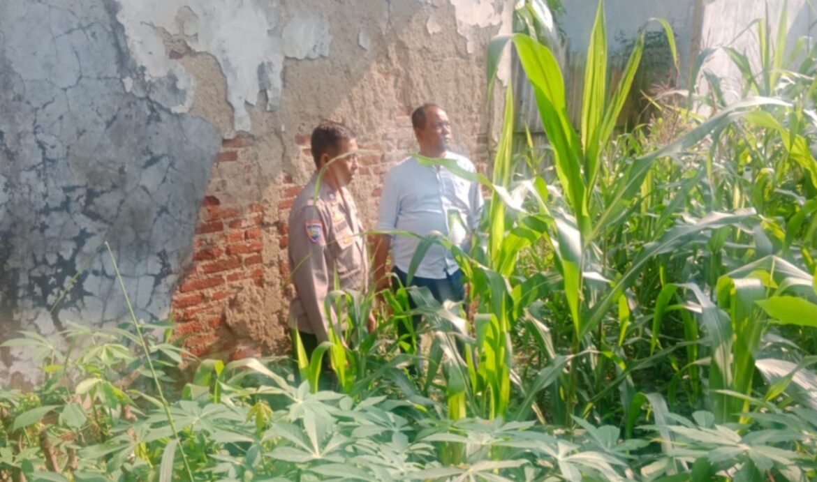 Sambang Warga Sambil Edukasi Ketahanan Pangan, Bhabinkamtibmas Polsek Campaka Dorong Pemanfaatan Pekarangan Rumah