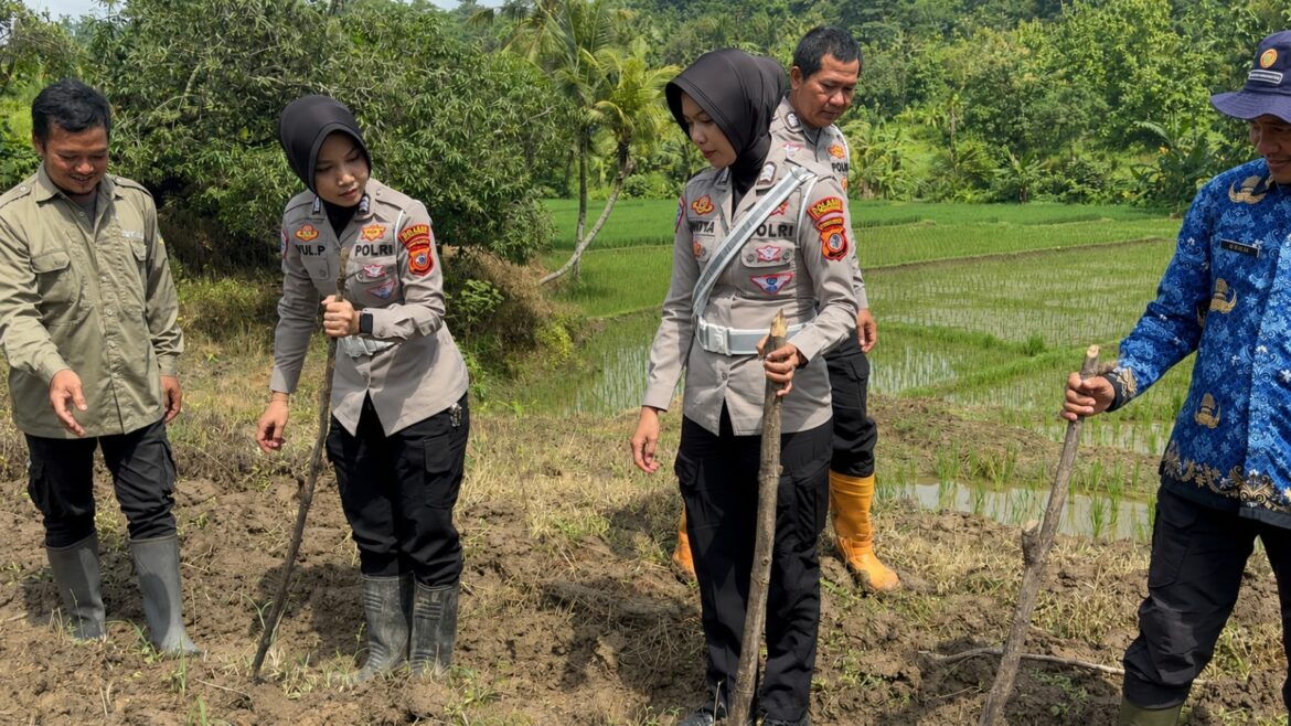 ​Satlantas Polres Kuningan Bersinergi dengan Dinas Pertanian Pantau Ketahanan Pangan di Desa Cibulan