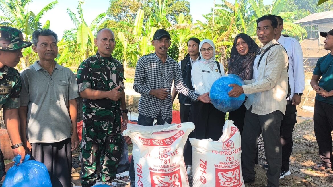 Dukung Ketahanan Pangan TMMD Ke-129, Kodim 0620/Kab. Cirebon Bersama DKPP Salurkan 1.200 Bibit Lele dan 60 Kg Pakan untuk Warga Desa Luwung Kencana